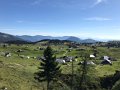 IMG_7898