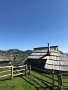 IMG_7908