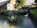 IMG_8011