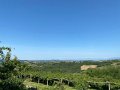 IMG_4147
