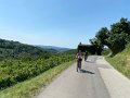 IMG_4206