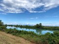 IMG_4354