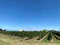 IMG_4357