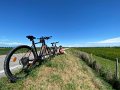 IMG_4436