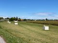 IMG_4447