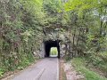 IMG_4549