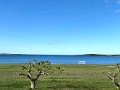 IMG_0928
