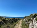 IMG_0982