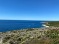 IMG_0994