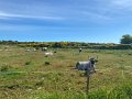 IMG_1071