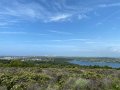 IMG_1196