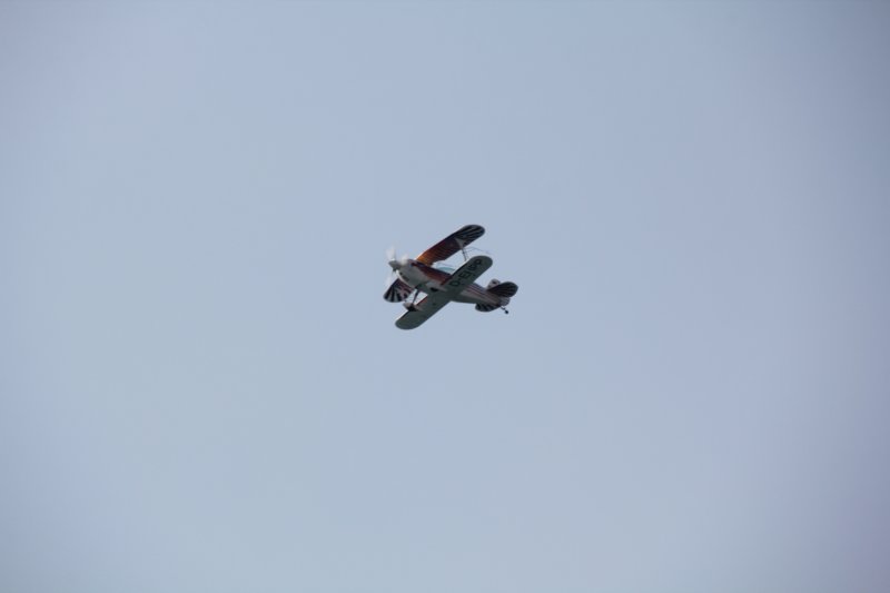 img_2317.jpg