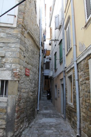 img_6395.jpg