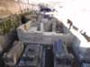 dsc02966_small.jpg
