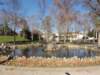 dsc02995_small.jpg