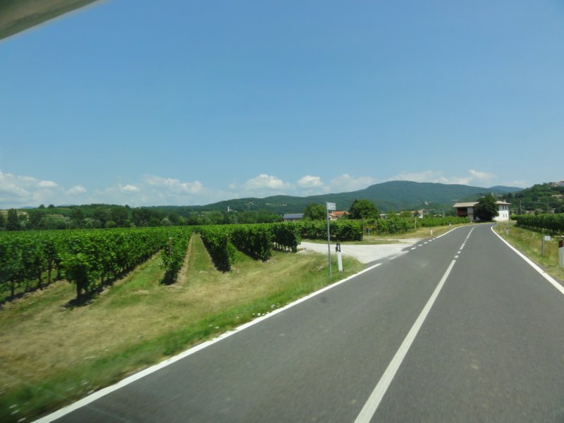 dsc08303.jpg