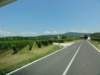 dsc08303_small.jpg