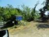 dsc08319_small.jpg