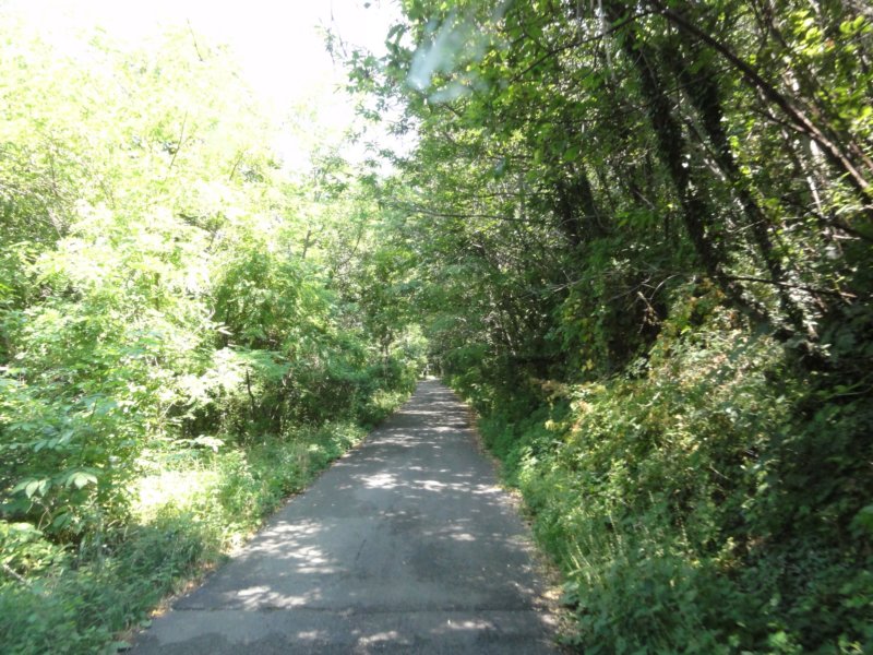 dsc08320.jpg
