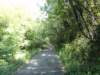 dsc08320_small.jpg