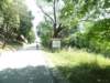 dsc08323_small.jpg