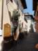 dsc08400_small.jpg