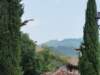 dsc08447_small.jpg