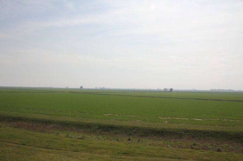 img_2113.jpg