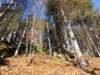 dsc02037_small.jpg