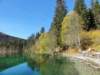dsc02050_small.jpg