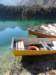 dsc02054_small.jpg