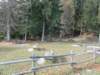 dsc02160_small.jpg
