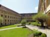 dsc07784_small.jpg
