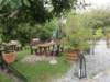 dsc01728_small.jpg