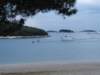 dsc02396_small.jpg