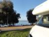 dsc02423_small.jpg