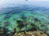 dsc02437_small.jpg