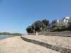 dsc02438_small.jpg