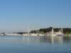 dsc02444_small.jpg