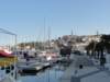dsc02449_small.jpg