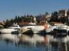 dsc02454_small.jpg