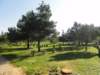 dsc02521_small.jpg