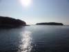 dsc02533_small.jpg