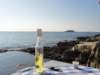 dsc02563_small.jpg