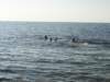 dsc02584_small.jpg