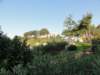 dsc02602_small.jpg