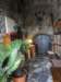dsc02746_small.jpg