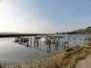 dsc07268_small.jpg