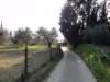 dsc07269_small.jpg