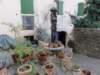 dsc07298_small.jpg